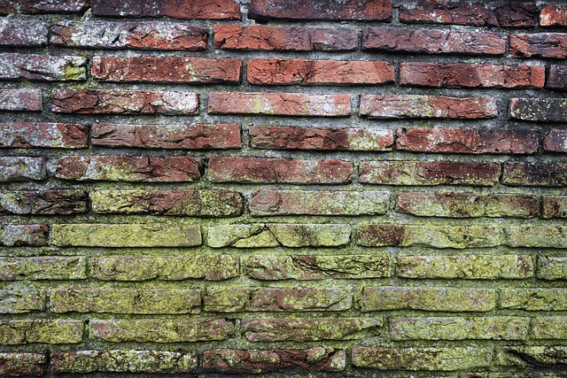 brick wall, black mold smell