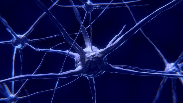 neurological symptoms of mold exposure, nerve cells, decreased neurogenesis 