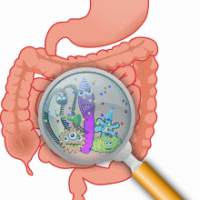 The Microbiome &amp; Autism