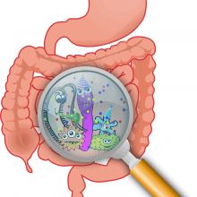 The Microbiome &amp; Autism