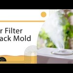 Best Air Filters for Black Mold: Protecting Your Home and Health