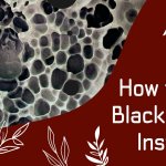 How to Kill black mold Instantly: What to do and not do!