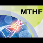 My Lyme Doc Unraveling the Connection: MTHFR, Lyme Disease, and Mold Toxicity