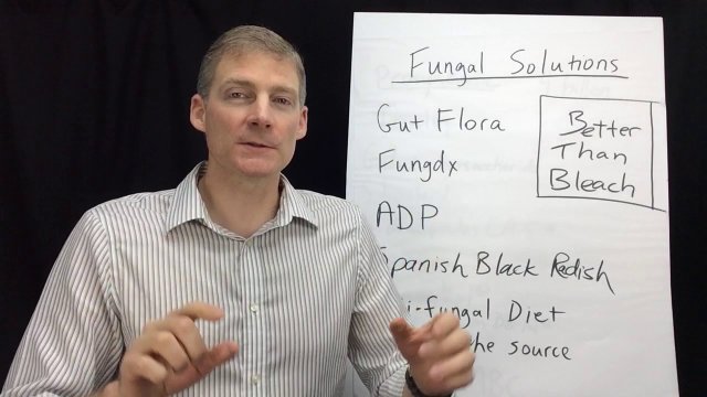 Better Than Bleach!  Kill Mold/Yeast in Your Body in 3 Simple Phases.